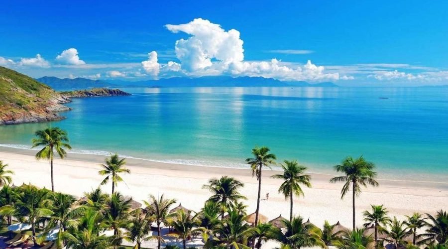 How to Choose the Right Da Nang Villa: Beachfront, Central, or Tranquil?
